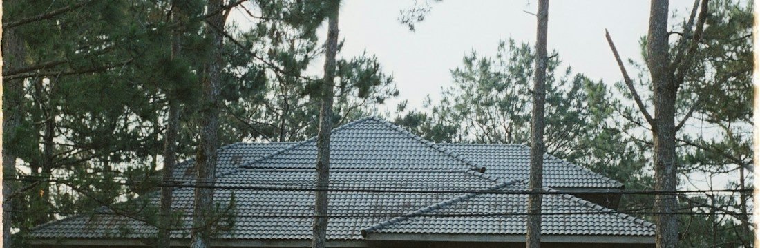 Grey tiled hipped roof of a house partly hidden behind tall pine trunks, with overhead cables crossing the view